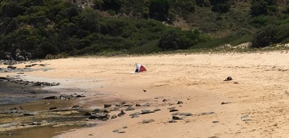 Climate Change is evident at the beach where sea levels are rising